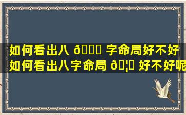 如何看出八 🐋 字命局好不好「如何看出八字命局 🦄 好不好呢」